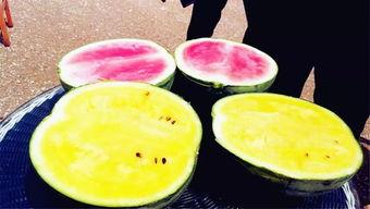 628网爆吃瓜,揭秘网络热议背后的真相